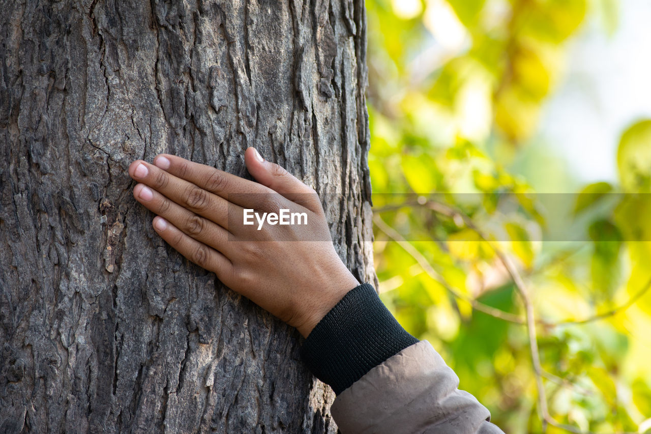 CLOSE-UP OF PERSON TOUCHING TREE TRUNK