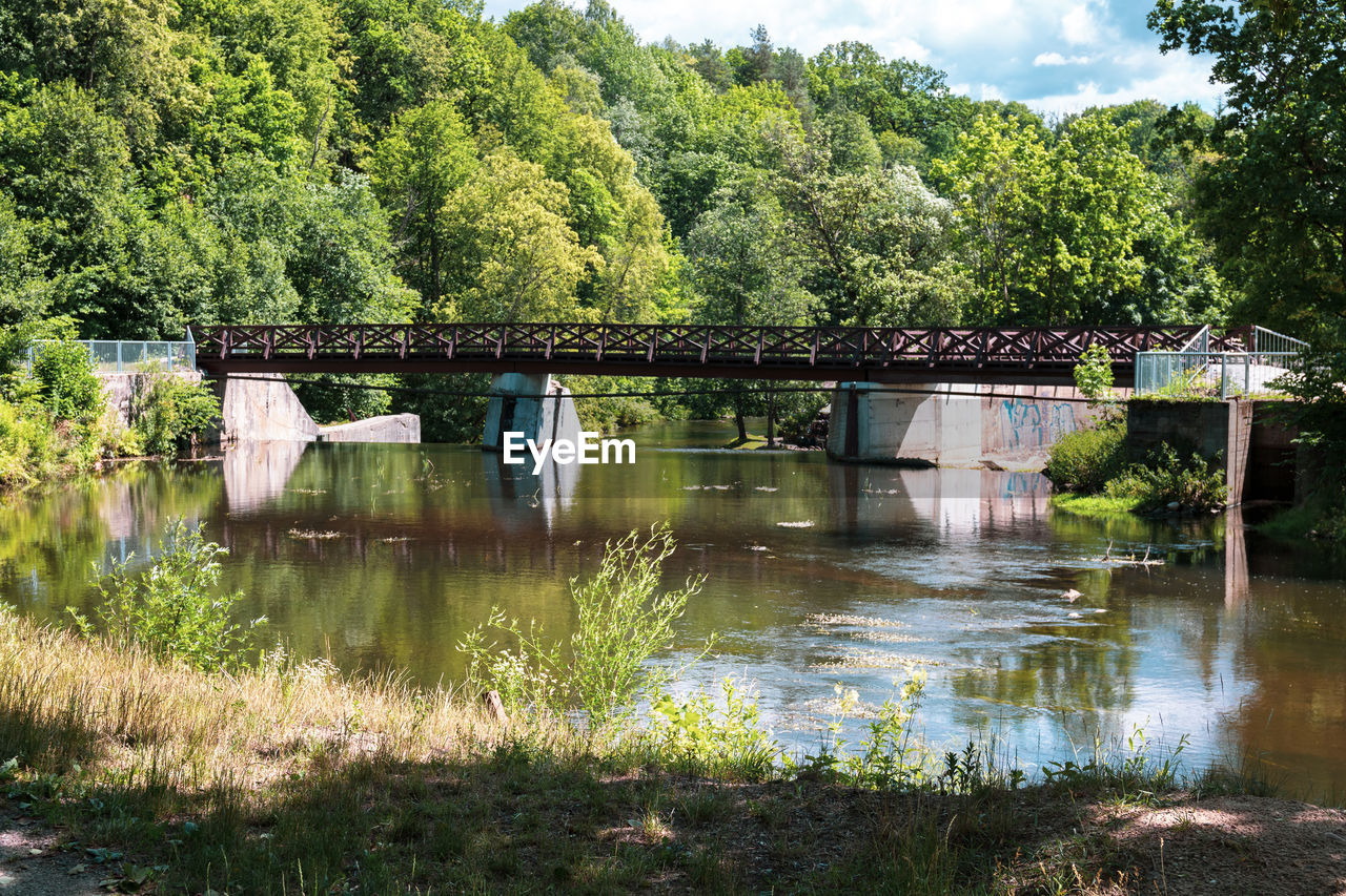 VIEW OF BRIDGE OVER LAKE IN FOREST