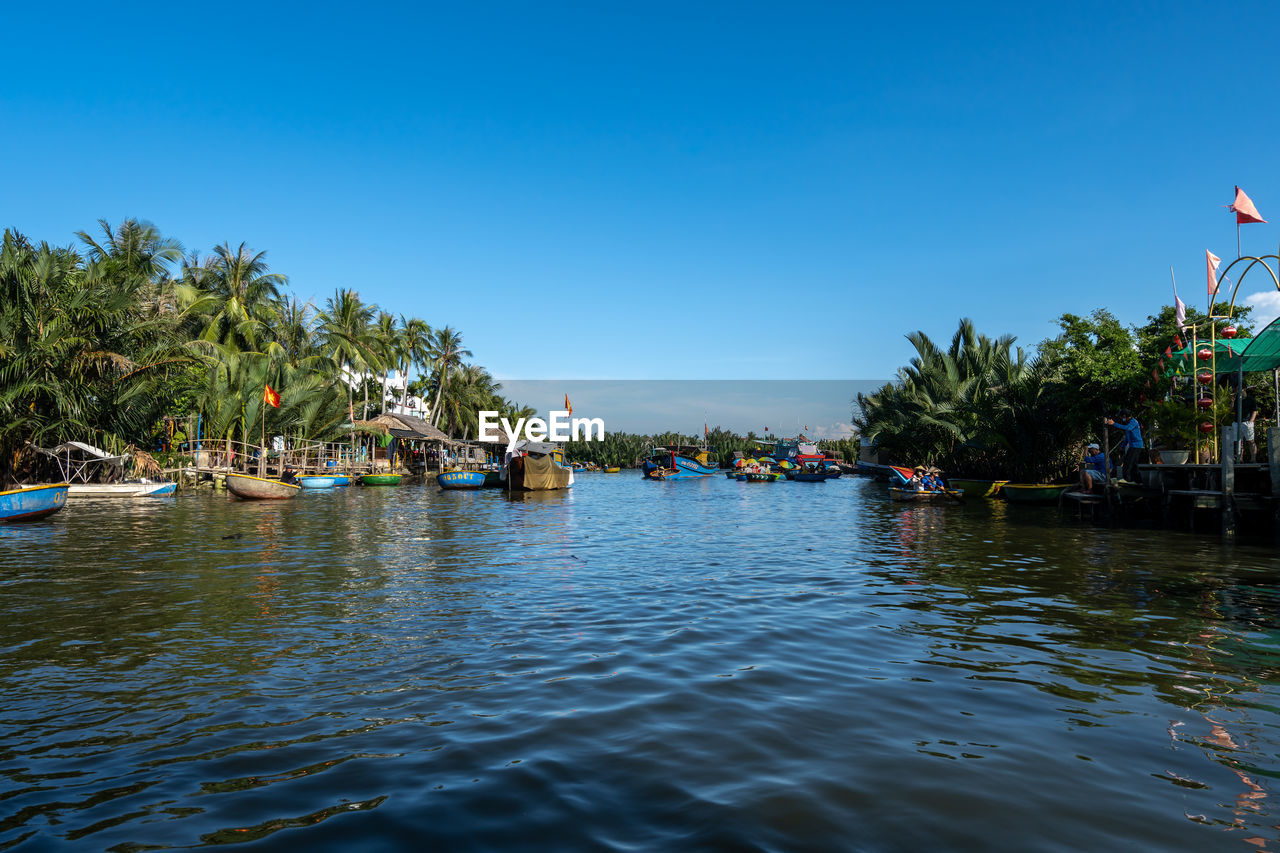 Basket boat tour through the nipa palm forest on thu bon river in hoi an, vietnam