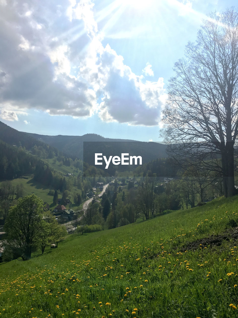 SCENIC VIEW OF LANDSCAPE AGAINST CLOUDY SKY