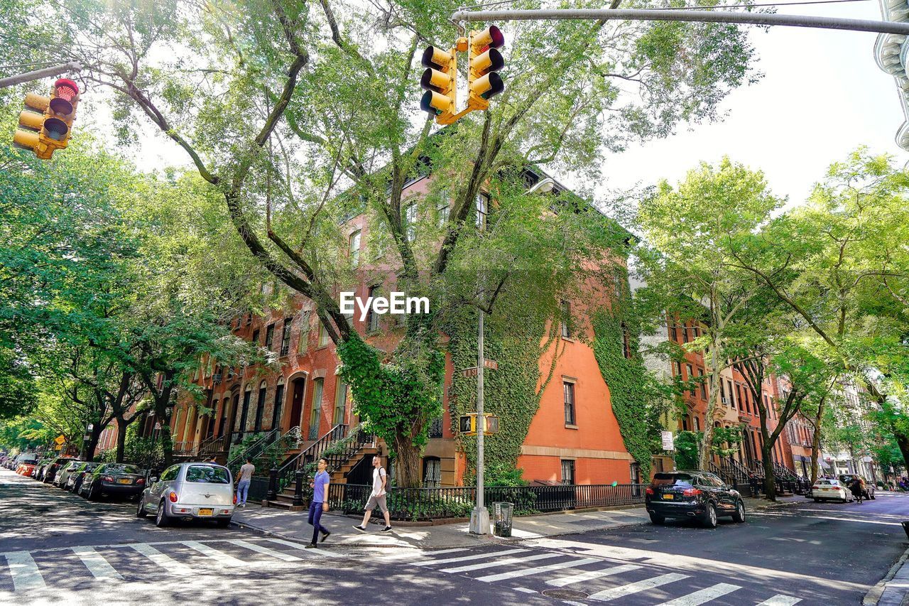 ROAD BY TREES AND BUILDINGS