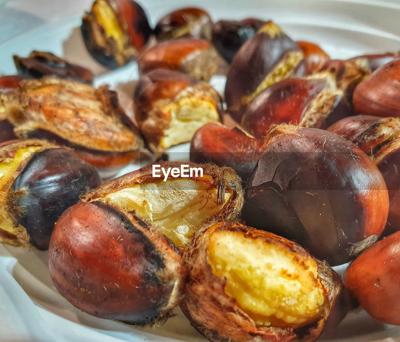 HIGH ANGLE VIEW OF FRESH SEAFOOD IN PLATE