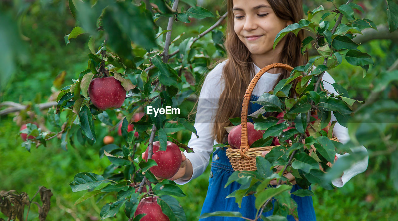 low angle view of young woman picking fruit on tree