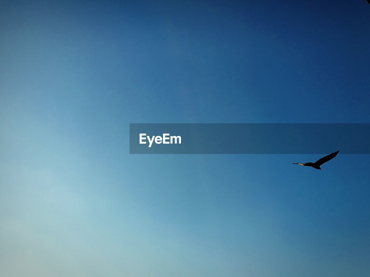 LOW ANGLE VIEW OF AIRPLANE AGAINST CLEAR BLUE SKY