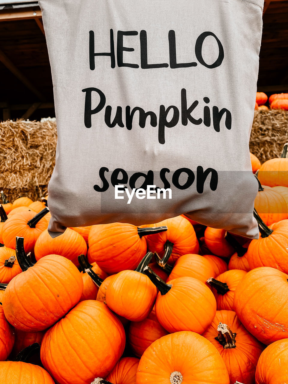 CLOSE-UP OF PUMPKINS FOR SALE