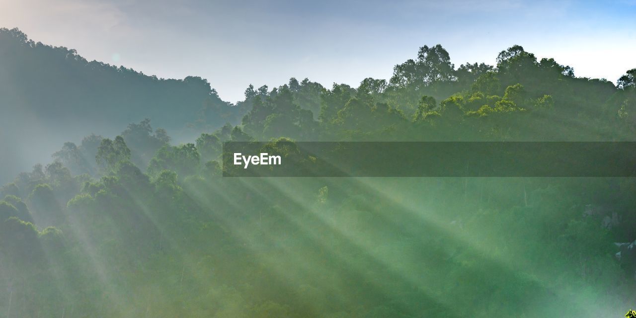 Scenic view of tree mountains against sky