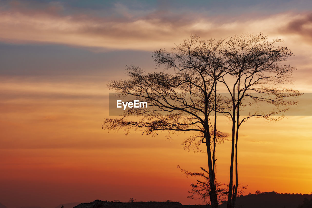 Low angle view of silhouette bare tree against romantic sky