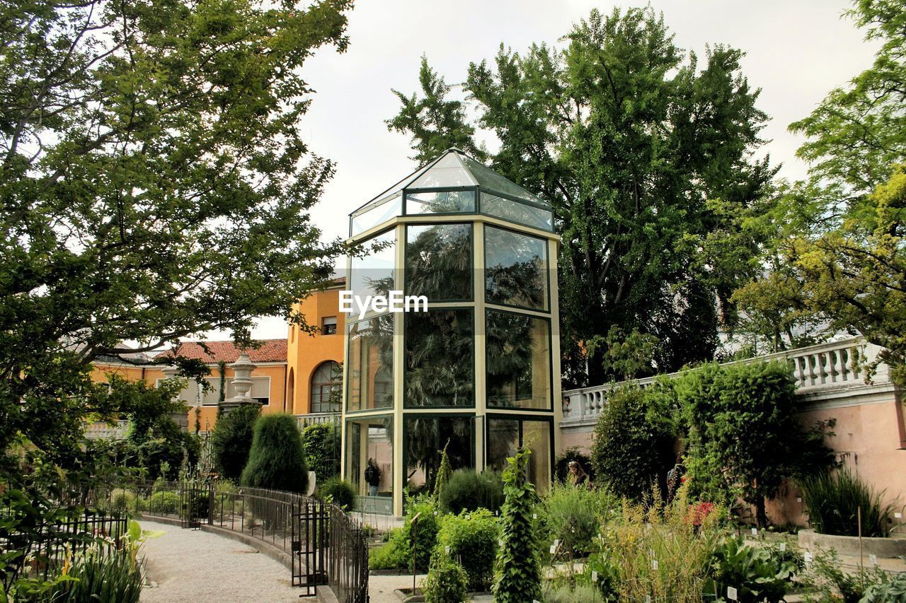 VIEW OF TREES AND PLANTS