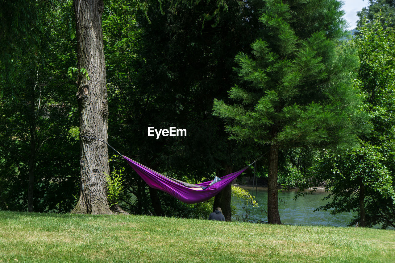 Person relaxing in hammock hanging amidst trees at riverbank