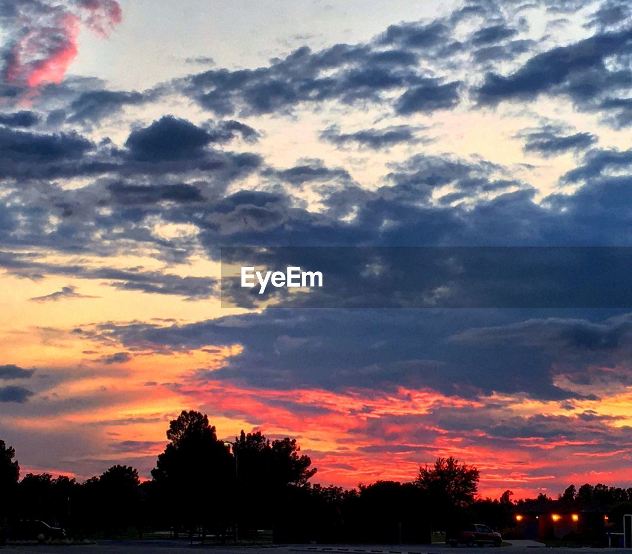 SILHOUETTE OF TREES AT SUNSET