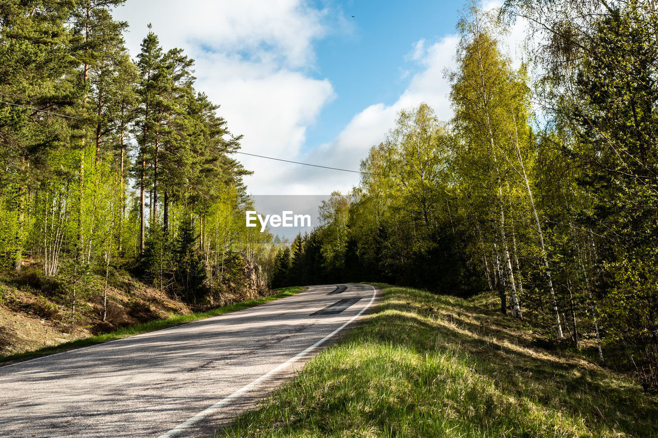 Road amidst trees in forest against sky