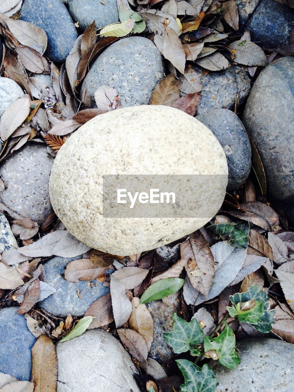 High angle view of pebbles on rocks