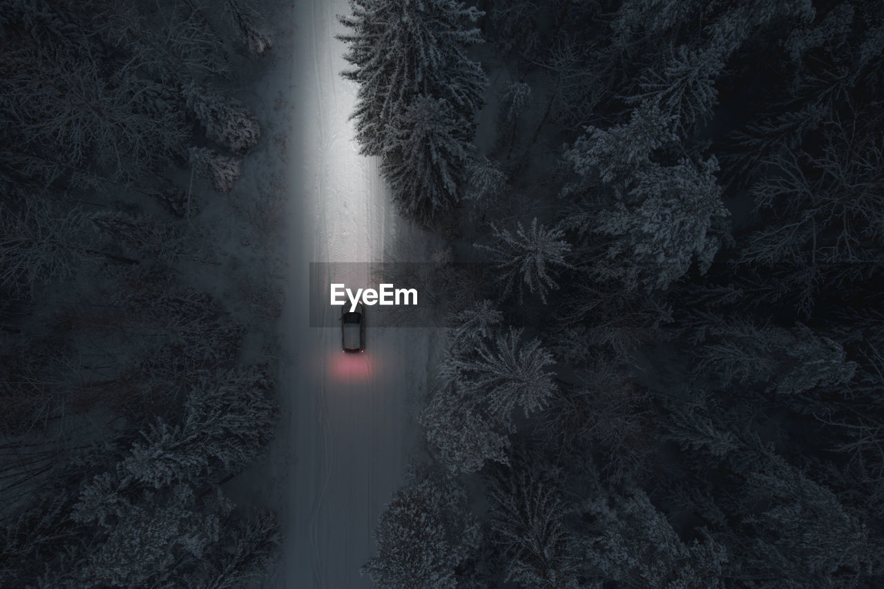 The car drives at night on a snowy forest road. headlight illumination only. vehicle topics