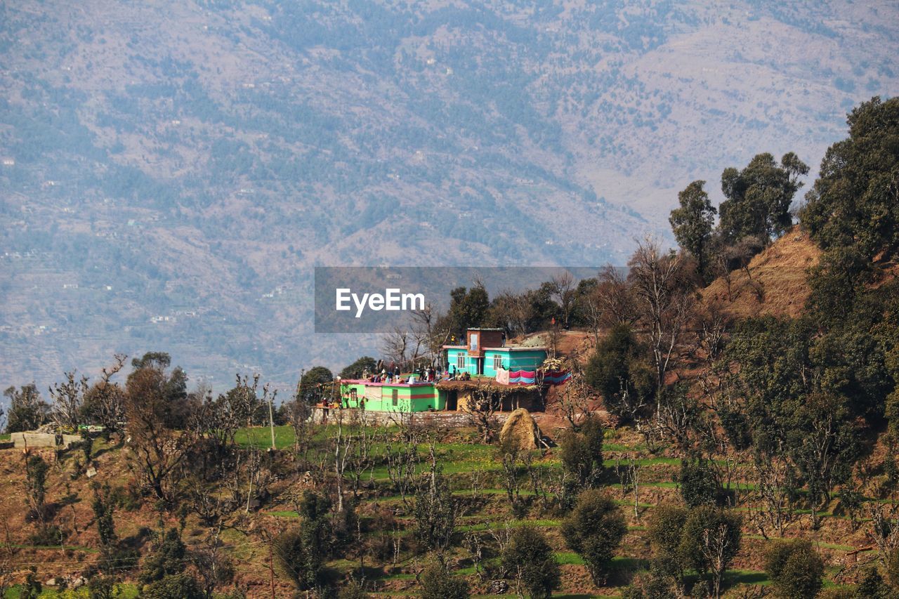 TREES ON FIELD BY MOUNTAINS