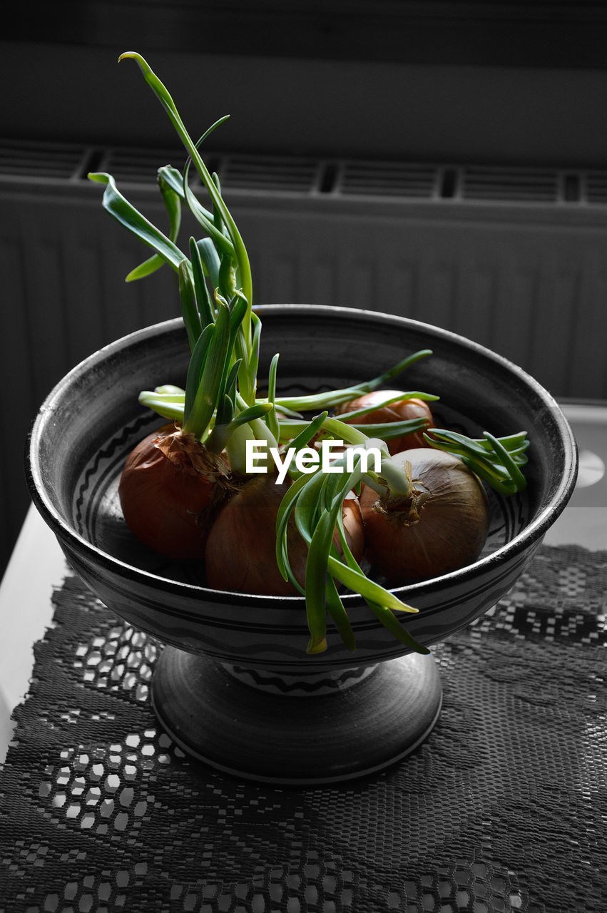 Scallions growing in container on table at kitchen