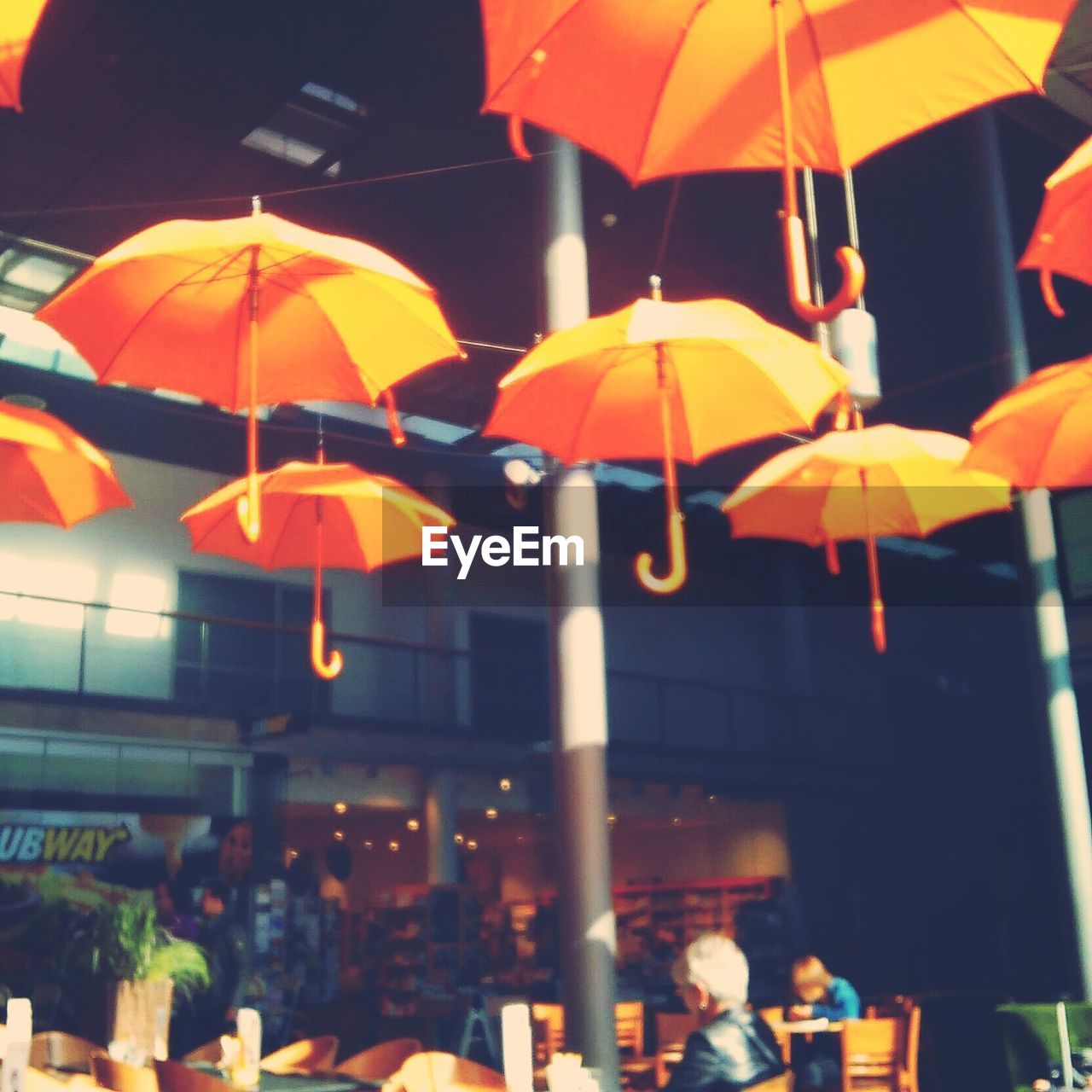 MULTI COLORED UMBRELLAS HANGING ON TREE