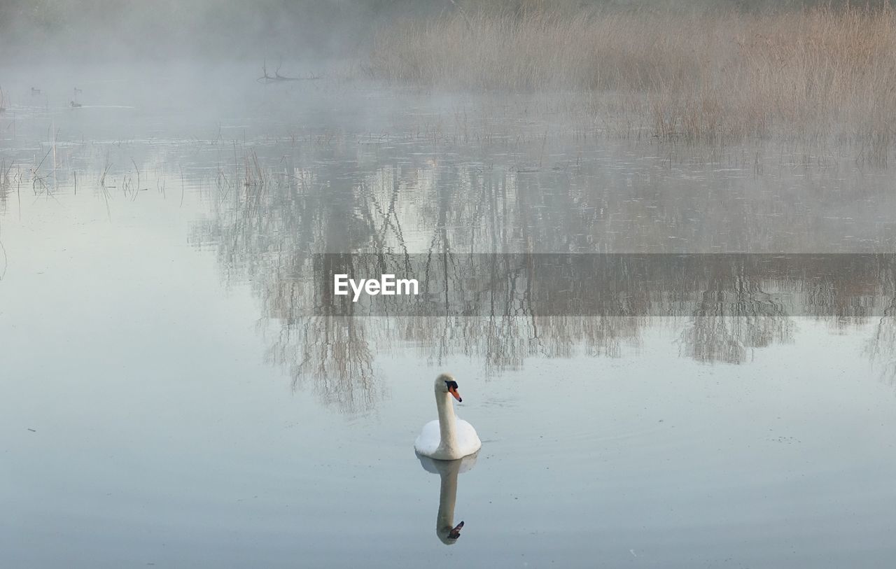 REFLECTION OF MAN ON LAKE