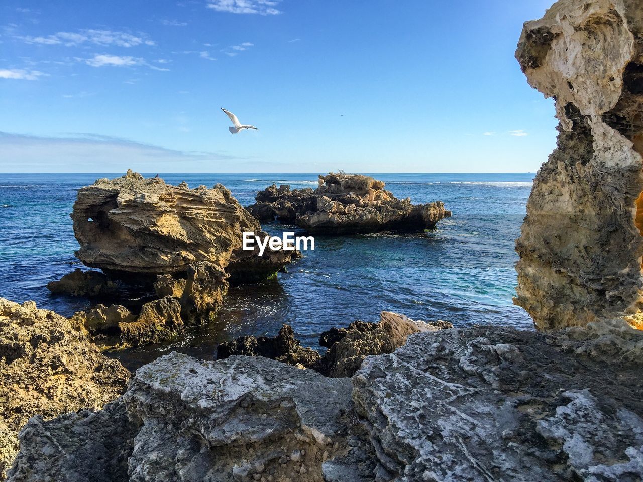 Seagull flying over rocks in sea against sky