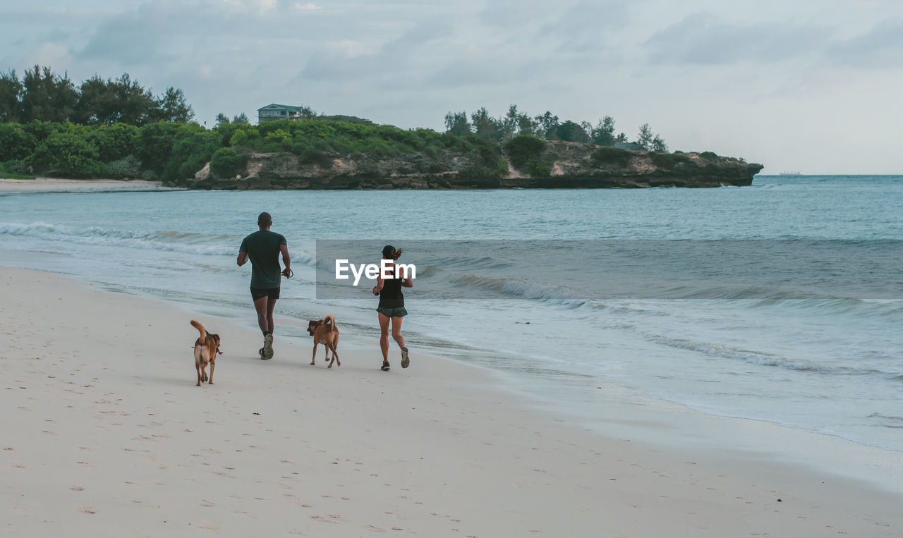 Rear view of man, woman and dogs jogging at beach early morning 