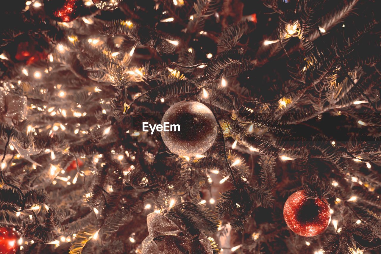 Full frame shot of illuminated christmas tree at night