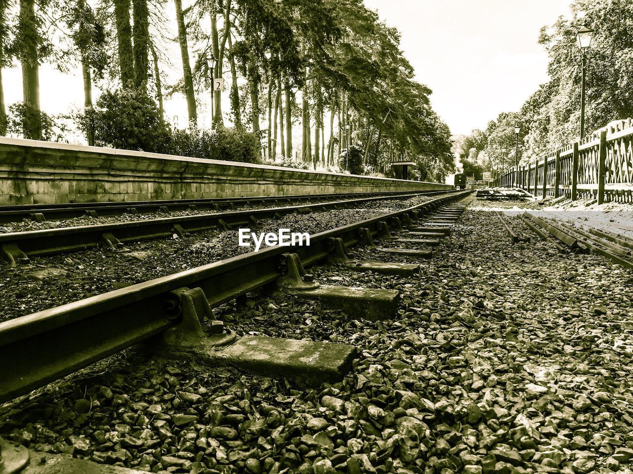 Railroad tracks amidst trees against sky