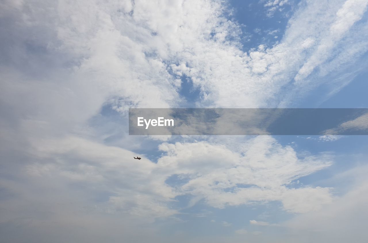 LOW ANGLE VIEW OF A BIRD FLYING