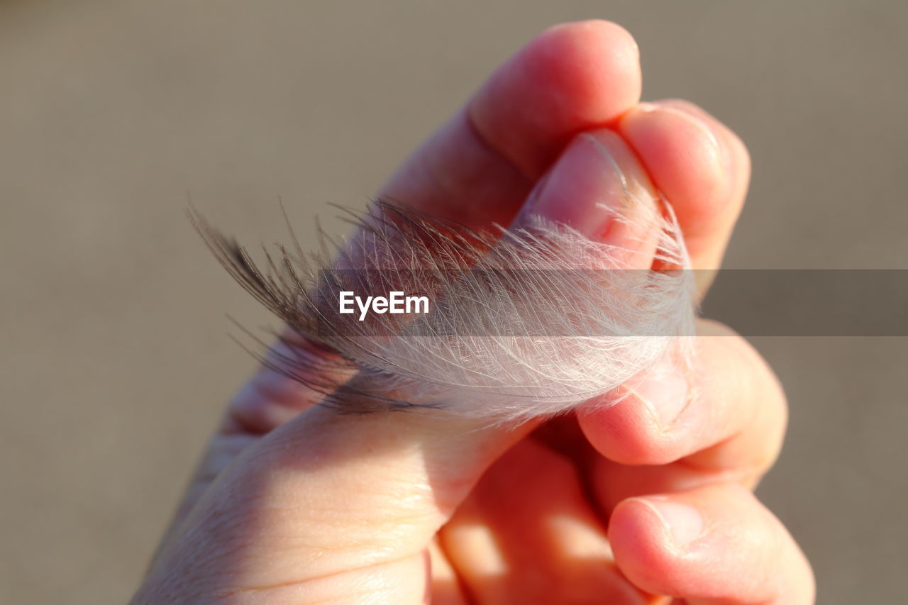 CLOSE-UP OF HAND HOLDING FINGER