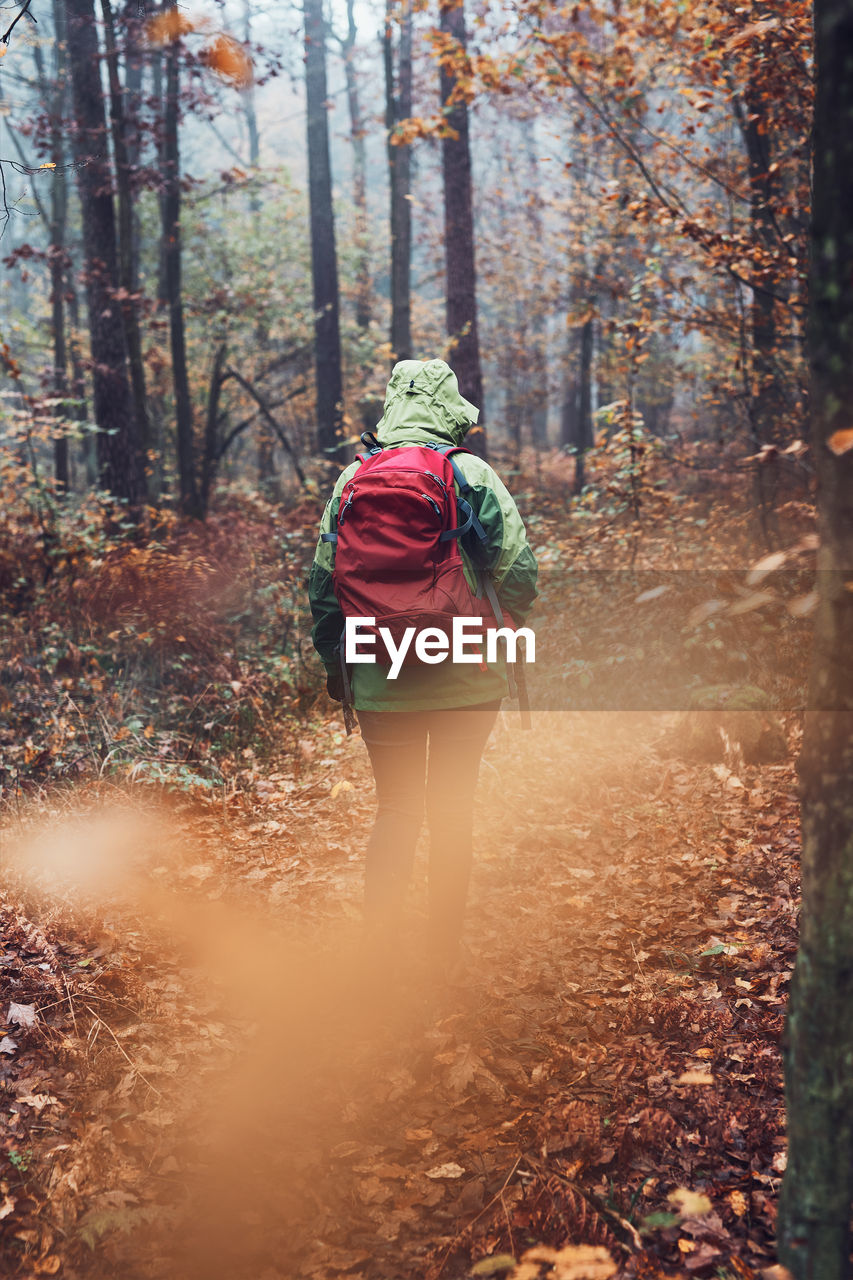 Woman with backpack wandering around a forest on autumn cold day