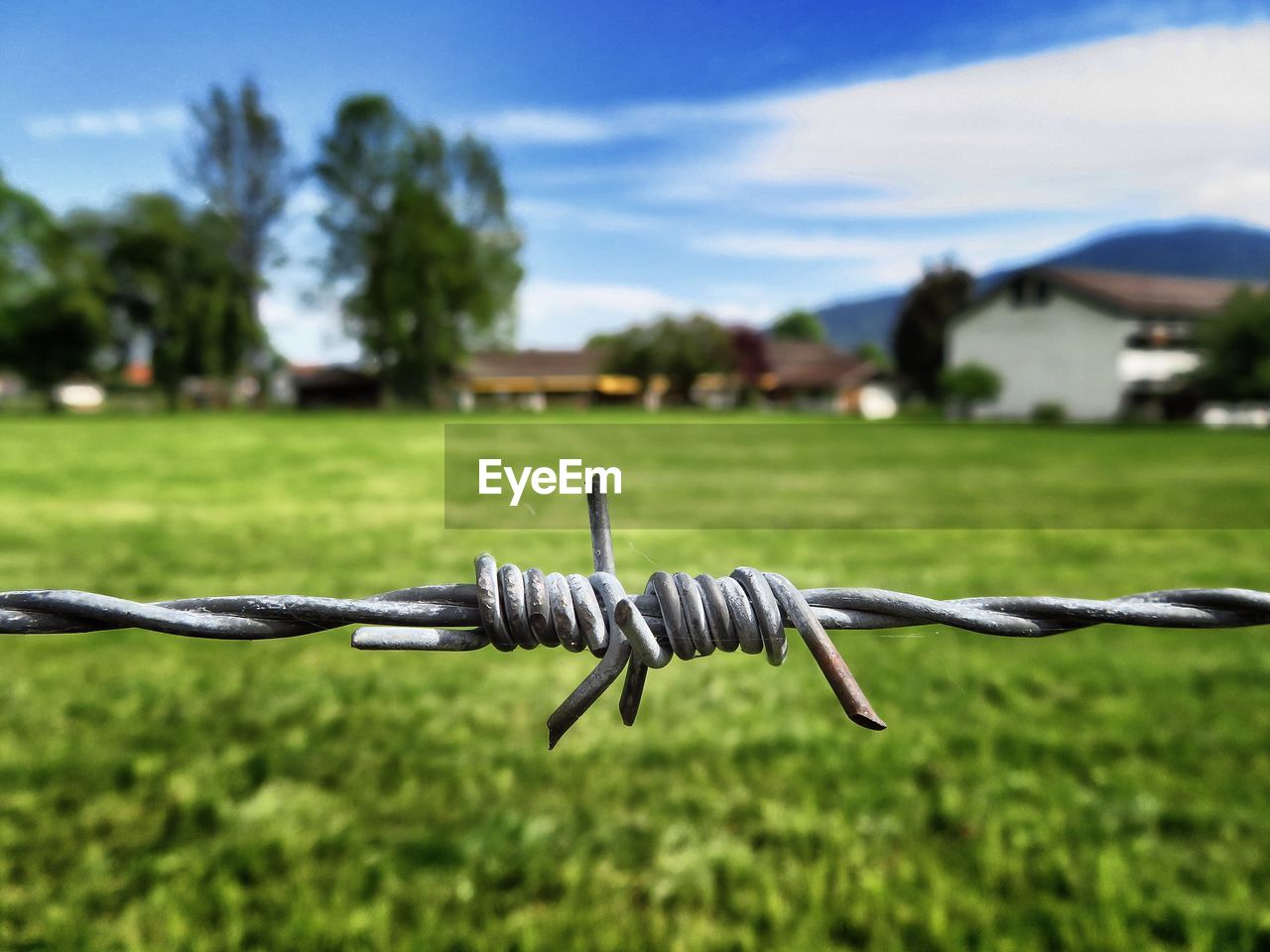 Close-up of barbed wire fence on land