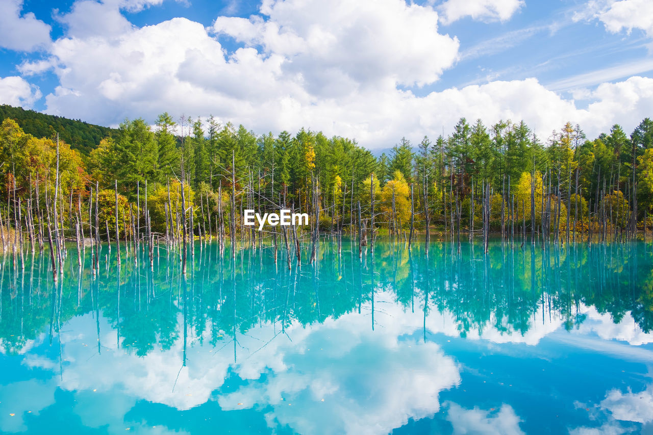 PANORAMIC VIEW OF SWIMMING POOL AGAINST SKY