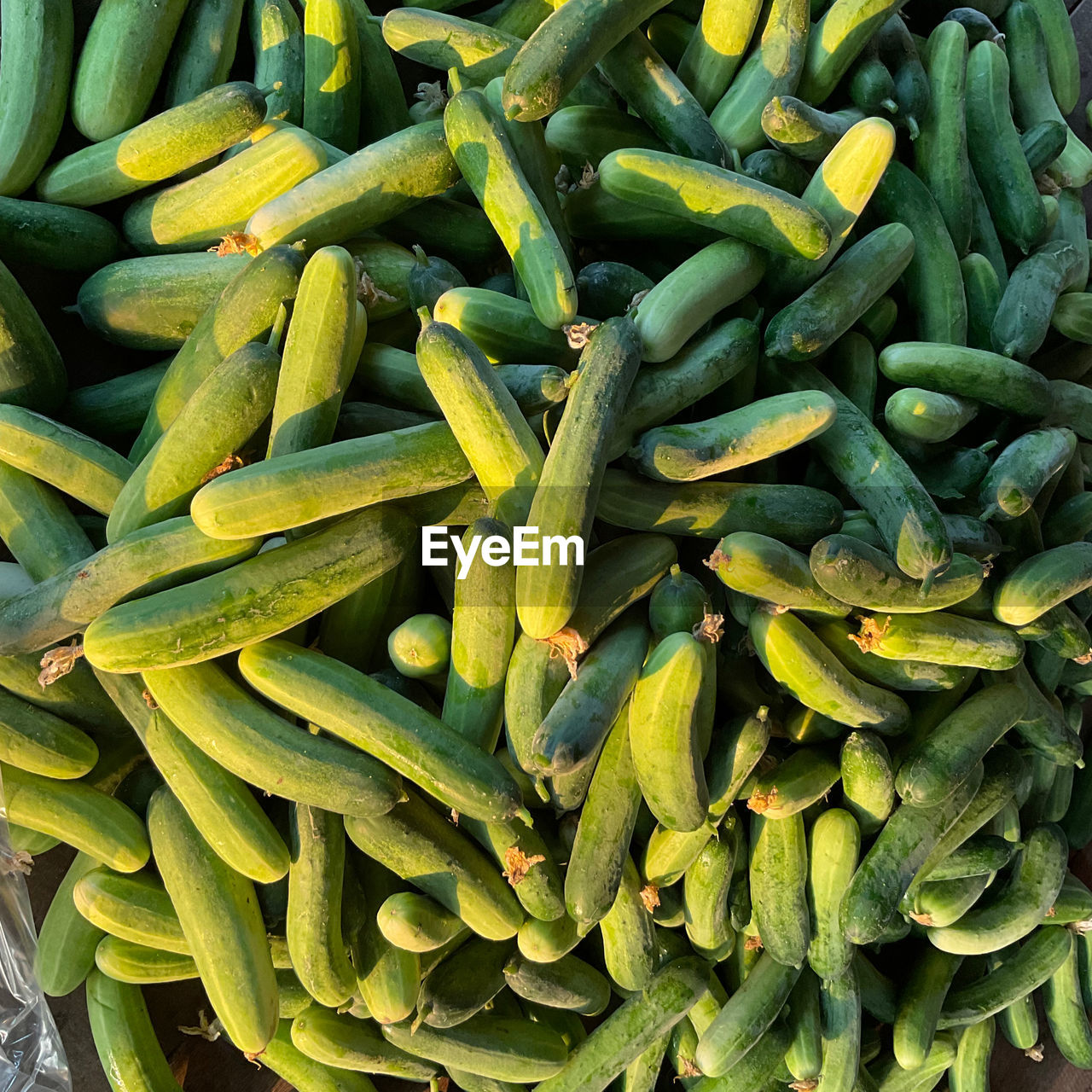 Full frame shot of vegetables