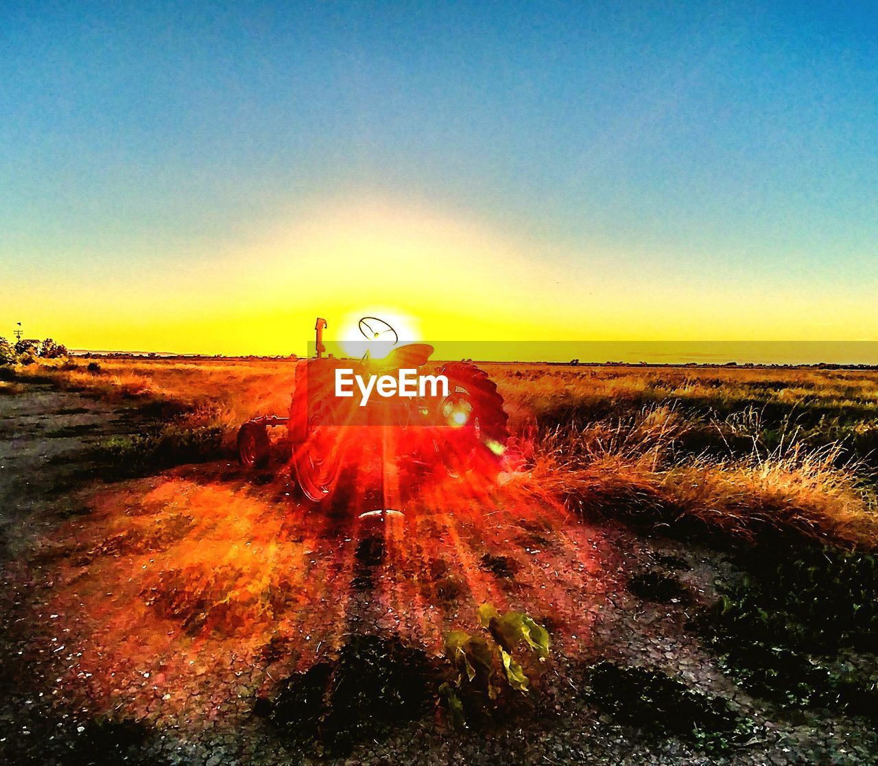 SCENIC VIEW OF FIELD AGAINST CLEAR SKY