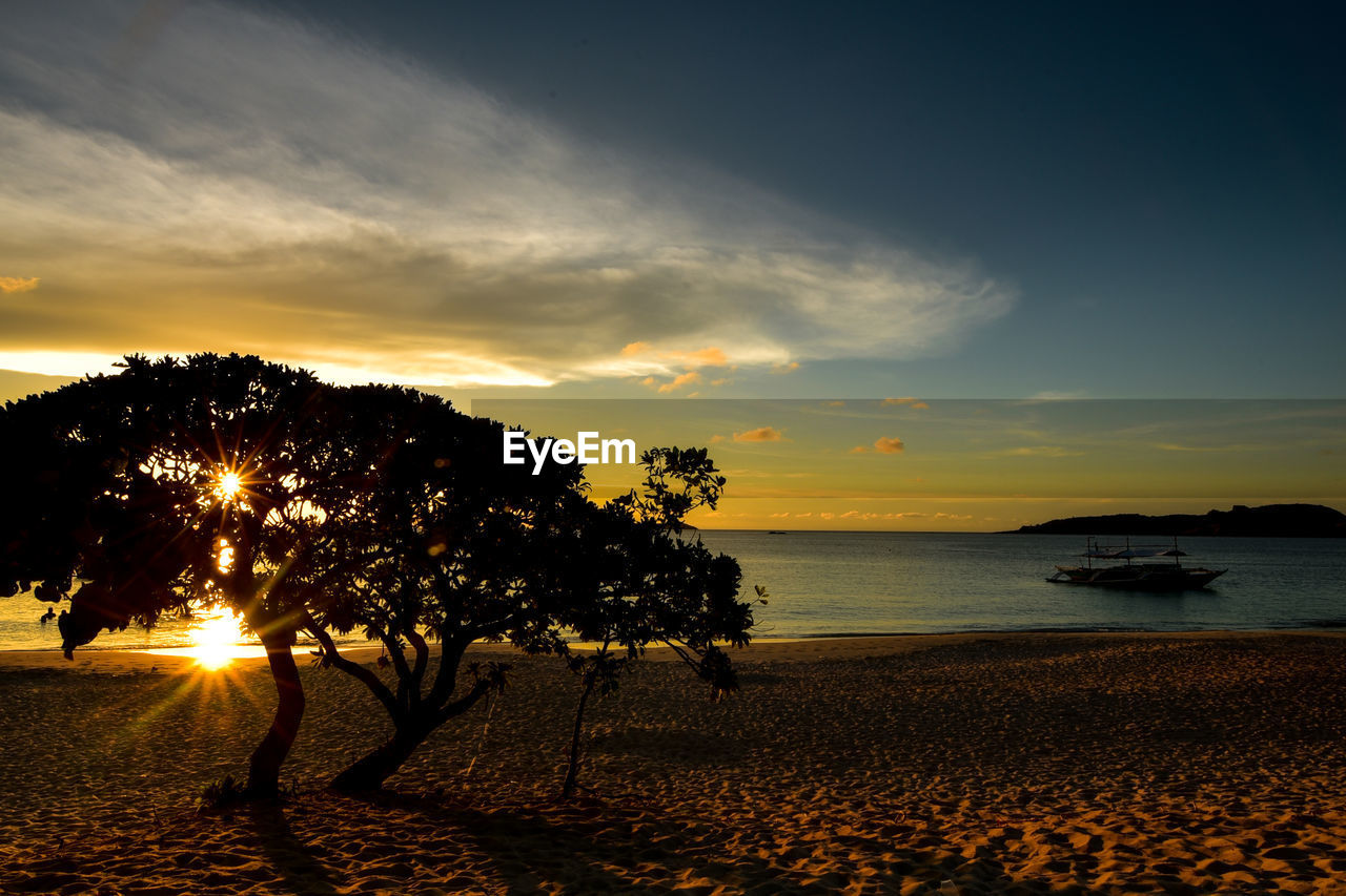 Silhouette trees on beach against sky during sunset