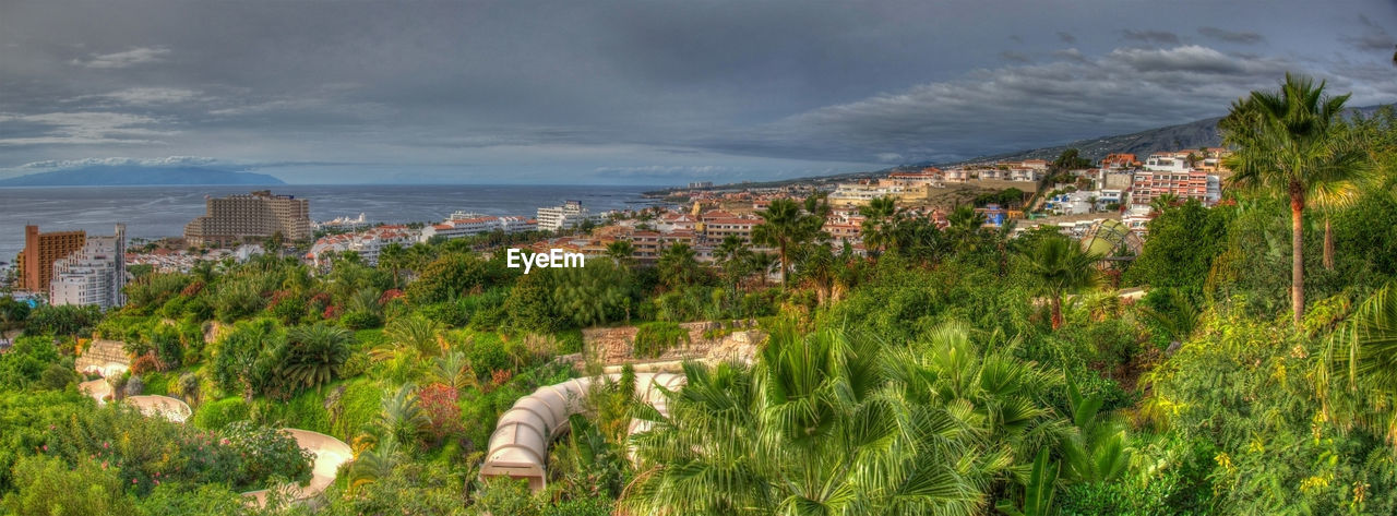 HIGH ANGLE VIEW OF TREES AND BUILDINGS IN CITY