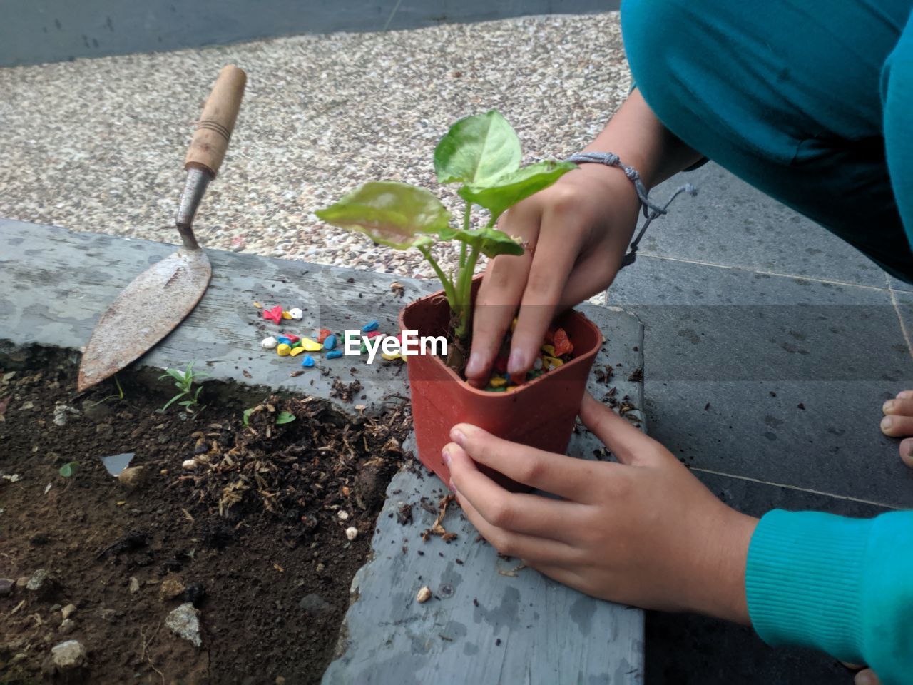 Low section of girl holding potted plant outdoors