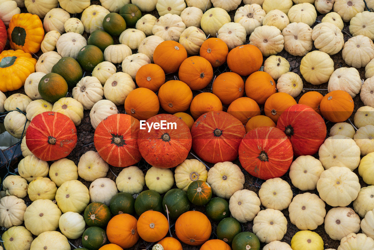 High angle view of pumpkins in market