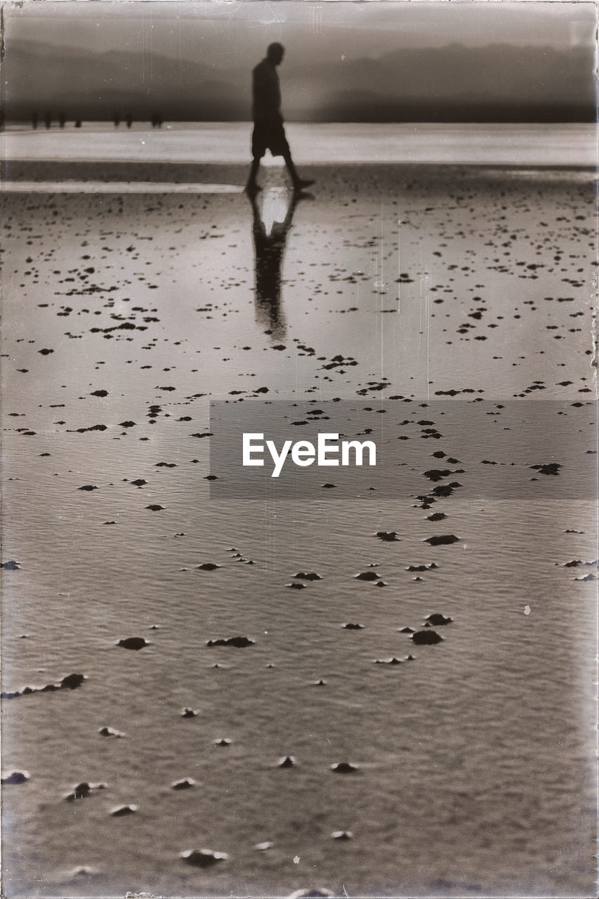 REAR VIEW OF MAN WALKING ON WET BEACH