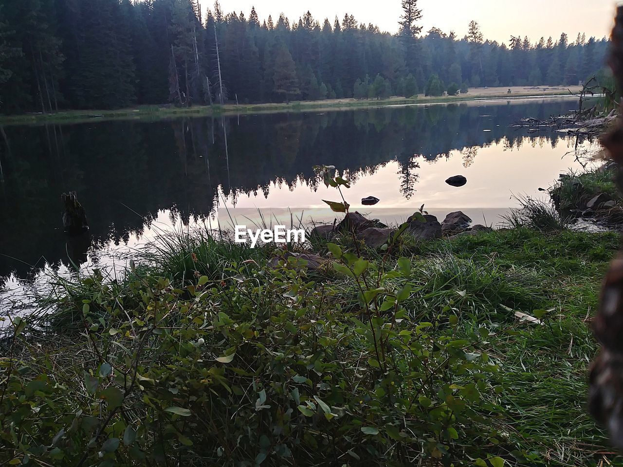 SCENIC VIEW OF LAKE