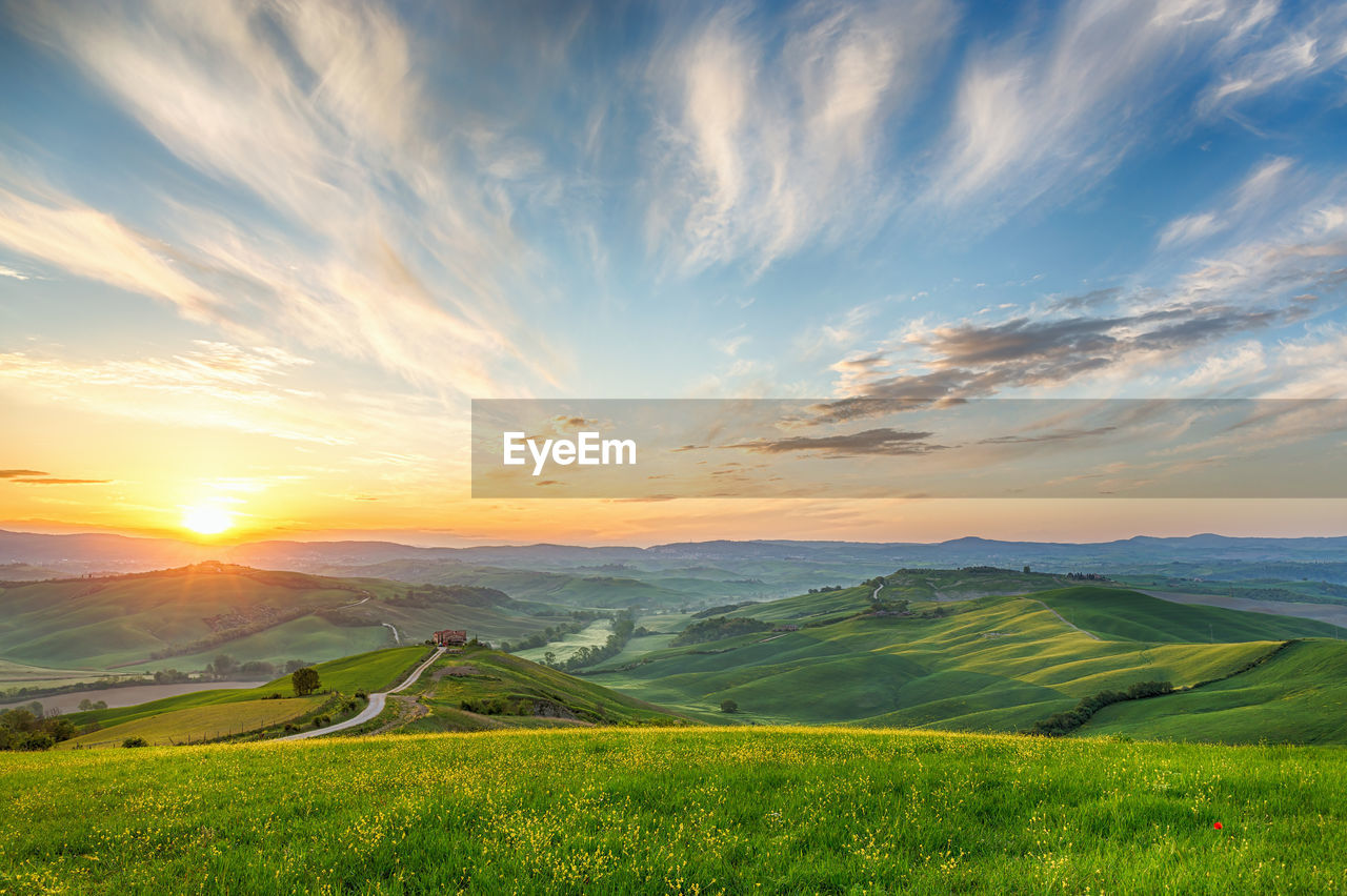 Scenic view of field against sky during sunset