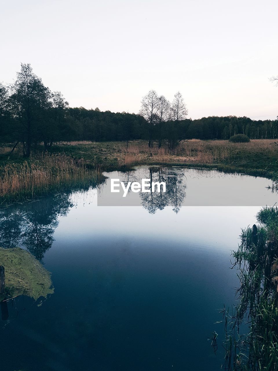 Scenic view of lake in forest against clear sky