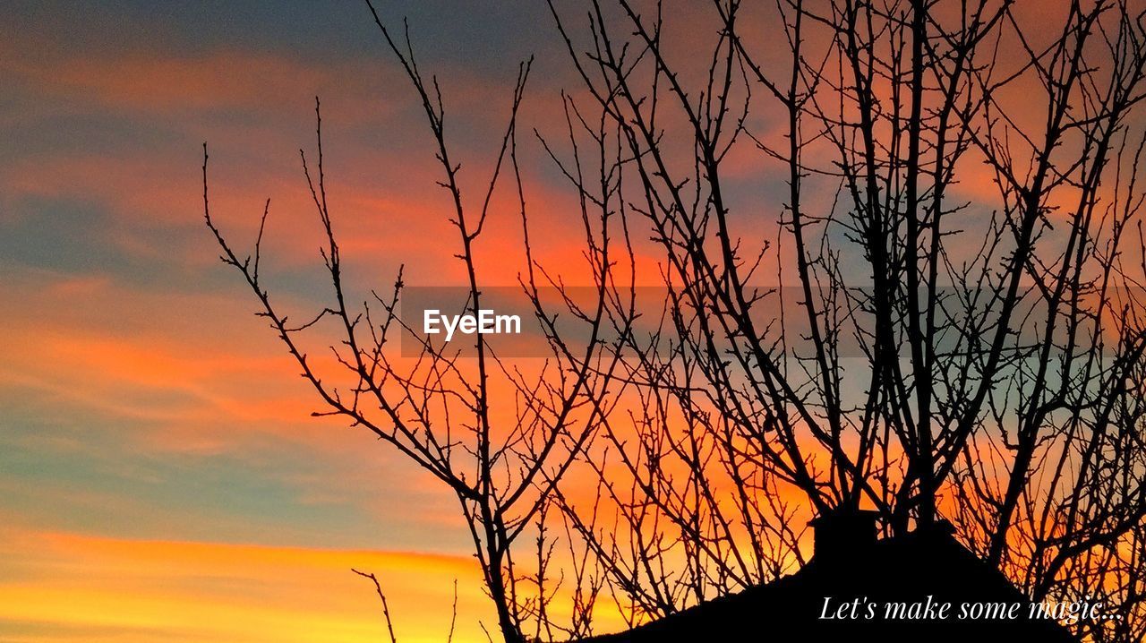 SILHOUETTE TREE AGAINST ORANGE SKY