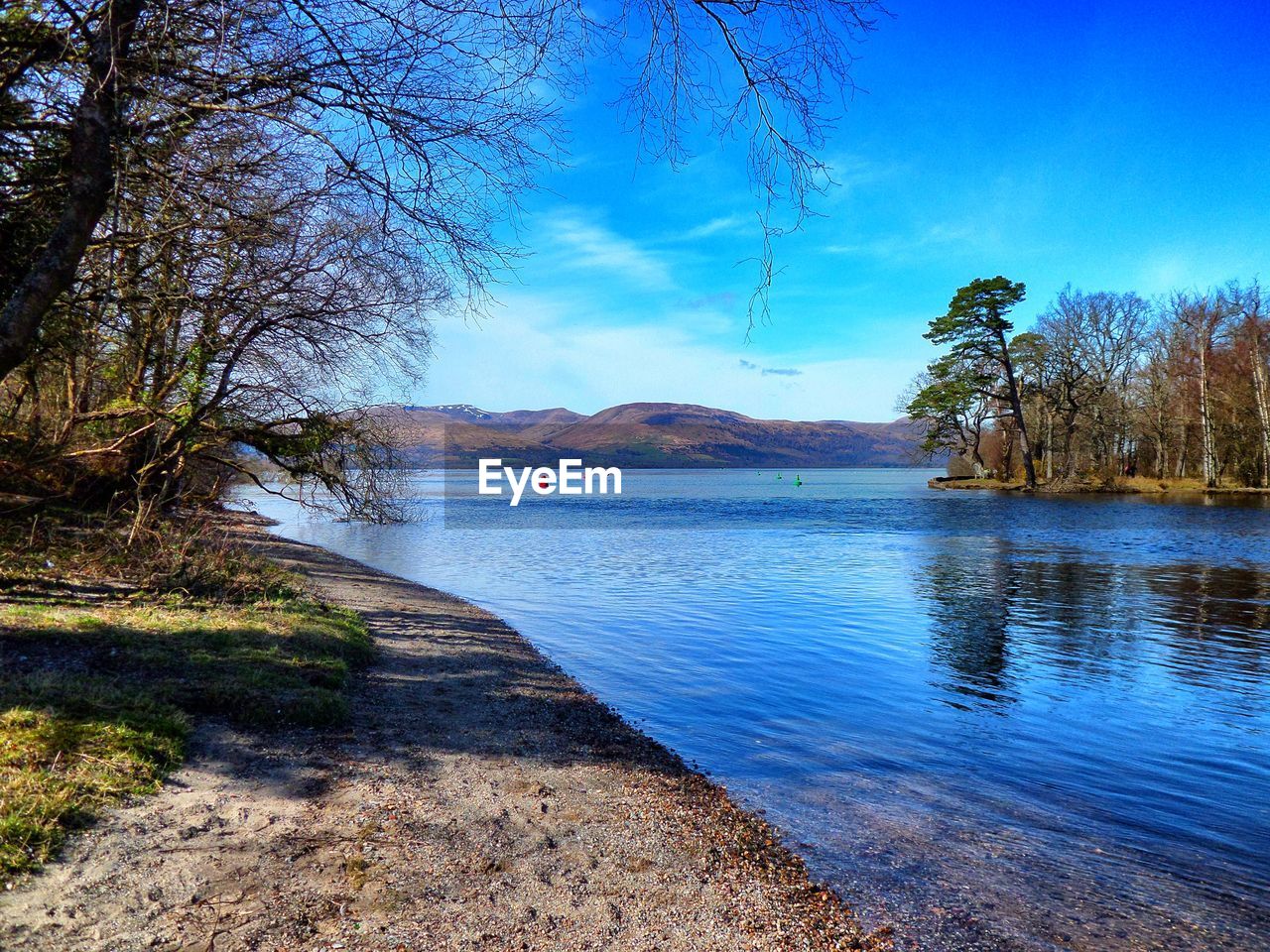 Scenic view of river by trees against sky