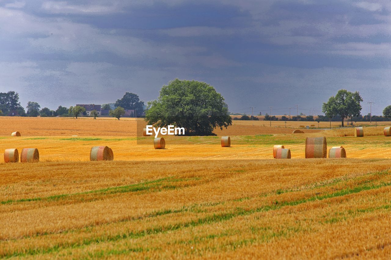 Hay bales on field against sky