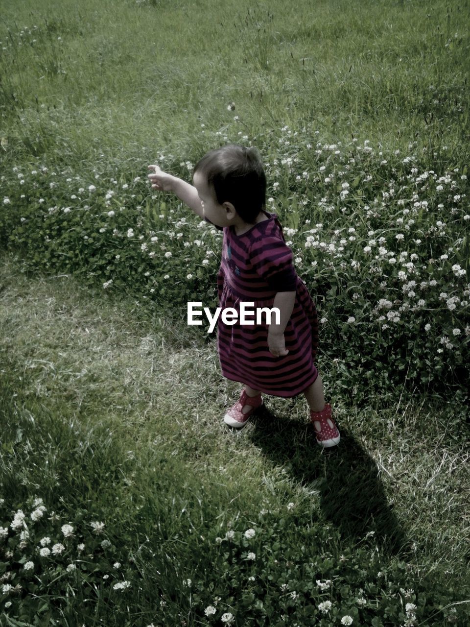 Little girl standing in meadow in summer