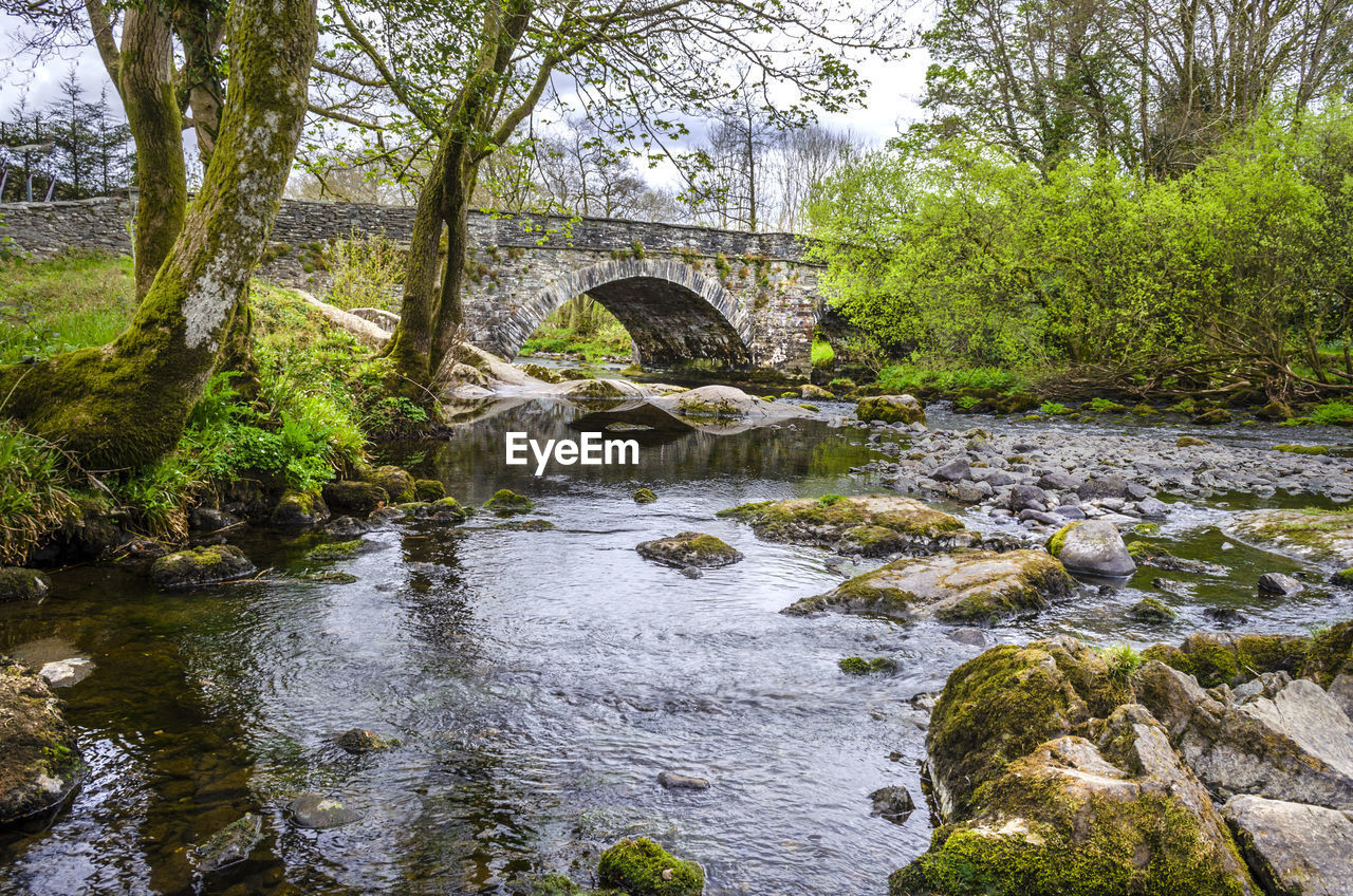 Stream flowing through rocks in forest