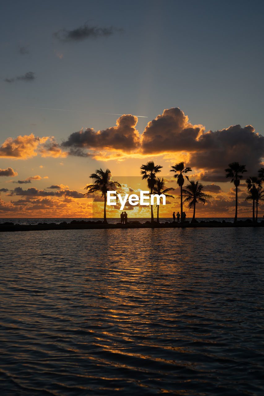 Silhouette palm trees by sea against sky during sunset