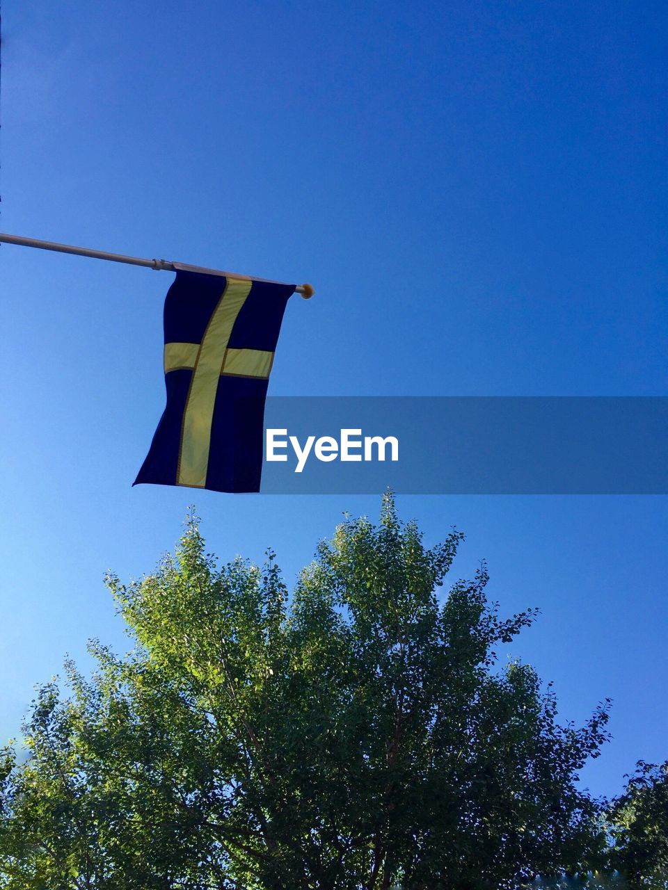 LOW ANGLE VIEW OF TREES AGAINST BLUE SKY