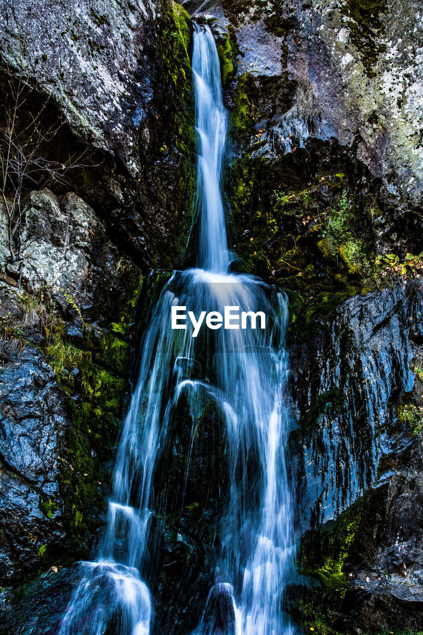 WATERFALL IN FOREST