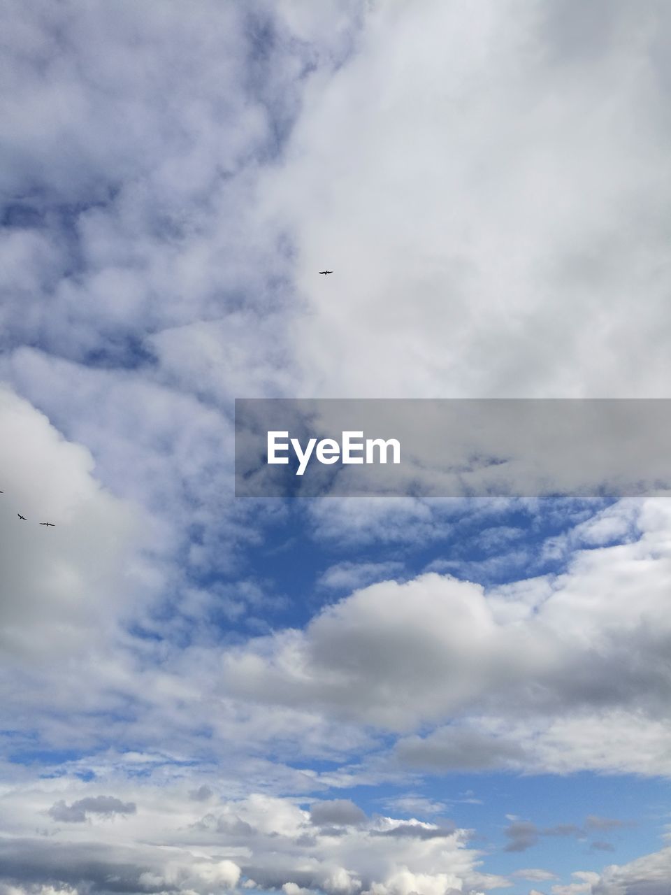 LOW ANGLE VIEW OF BIRD FLYING AGAINST CLOUDS