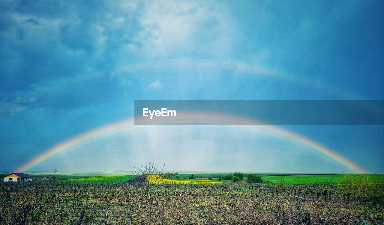 rainbow, landscape, beauty in nature, sky, environment, cloud, scenics - nature, nature, field, land, double rainbow, plant, rural scene, multi colored, tranquility, horizon, tranquil scene, no people, idyllic, agriculture, sunlight, grass, outdoors, crop, day, blue, storm, spectrum, green, farm, rain, wet, dramatic sky